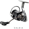 Катушка DAIWA Caldia 18 LT 2500D 10412-255