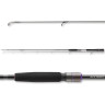 Спиннинг DAIWA Prorex XR BC 2,55м 80-175гр 11339-256